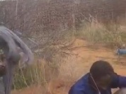 crime de guerre_FSR.mp4