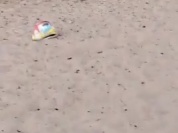 VID-20260318-WA0046.mp4