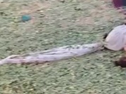 VID-20260318-WA0045.mp4