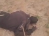 Recrudescence préoccupante des conflits communautaires au Tchad