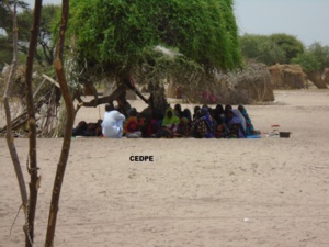 Le nombre de désengagés de Boko Haram pourrait atteindre 7000 Le nombre de désengagés de Boko Haram pourrait atteindre 7000