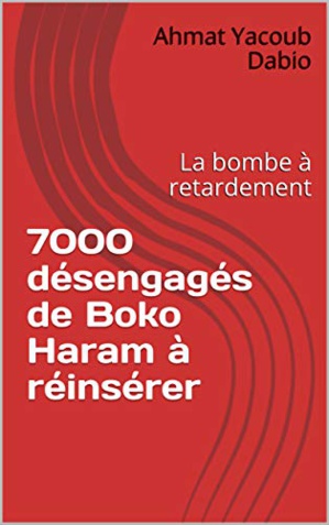 "إعادة دمج 7000 من مقاتلي بوكو حرام السابقين"