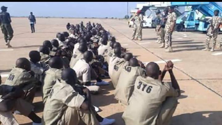 Plus de 500 combattants de Boko Haram se rendent à l'armée nigériane