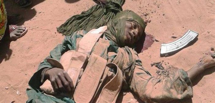 50 éléments de boko haram tués par la force conjointe