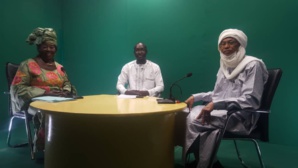 Le CEDPE appelle les autorités centrafricaines au renforcement de la cohabitation pacifique Le CEDPE appelle les autorités centrafricaines au renforcement de la cohabitation pacifique