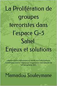 La Prolifération de groupes terroristes dans l’espace G-5 Sahel : enjeux et solutions