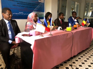 Quel regard porte-t-on sur la transition au Tchad? Quel regard porte-t-on sur la transition au Tchad?