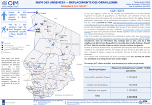 Tchad: L'OIM à la recherche de 5 millions de dollars pour assister les victimes du Nord Tchad: L'OIM à la recherche de 5 millions de dollars pour assister les victimes du Nord