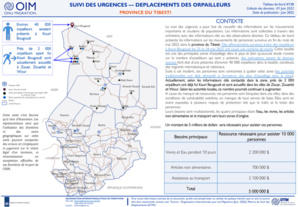 Tchad: L'OIM à la recherche de 5 millions de dollars pour assister les victimes du Nord