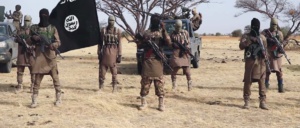 Les raisons du succès de Boko-Haram Les raisons du succès de Boko-Haram
