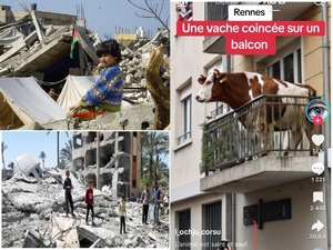 Israël sera responsable de la mort de 14000 enfants s'il refuse l'acheminement des vivres Israël sera responsable de la mort de 14000 enfants s'il refuse l'acheminement des vivres