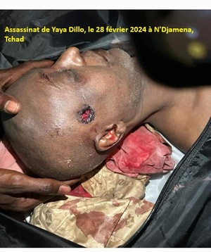 Affaire Yaya Dillo: la France soutient la décision de la famille de saisir la justice française Affaire Yaya Dillo: la France soutient la décision de la famille de saisir la justice française