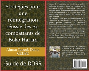 Guide de DDRR, comment réintégrer les ex-combattants de Boko Haram Guide de DDRR, comment réintégrer les ex-combattants de Boko Haram