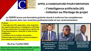 Le CEDPE organise une formation sur l'intelligence Artificielle (5-7 juillet25) Le CEDPE organise une formation sur l'intelligence Artificielle (5-7 juillet25)