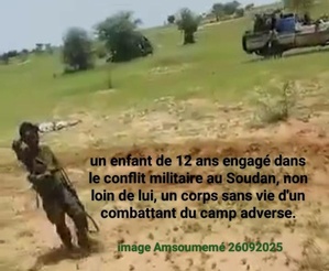 Protection urgente des enfants au Soudan (Communiqué officiel du CEDPE) Protection urgente des enfants au Soudan (Communiqué officiel du CEDPE)