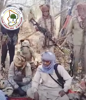 Au Tchad, des rebelles se concertent pour la création d'un front commun Au Tchad, des rebelles se concertent pour la création d'un front commun