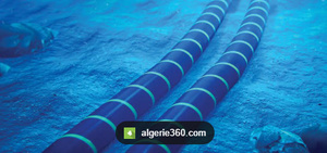 Vulnérabilité des câbles sous-marins et risques géopolitiques dans le Golfe persique Vulnérabilité des câbles sous-marins et risques géopolitiques dans le Golfe persique