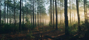 GUIDE DE FORMATION APD GUIDE DE FORMATION APD