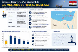 L'Égypte annonce la découverte d'un gisement de 330 milliards de pieds cubes de gaz L'Égypte annonce la découverte d'un gisement de 330 milliards de pieds cubes de gaz