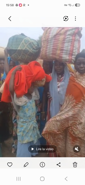 Haraz Mangagne : la lutte au Tchad contre les armes illégales ne doit pas se faire au détriment des droits des citoyens Haraz Mangagne : la lutte au Tchad contre les armes illégales ne doit pas se faire au détriment des droits des citoyens