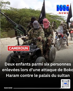 Cameroun: Boko Haram enlève 6 personnes Cameroun: Boko Haram enlève 6 personnes