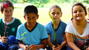 Les Snapshots de l’UNESCO | Édition juin 2026 Les Snapshots de l’UNESCO | Édition juin 2026