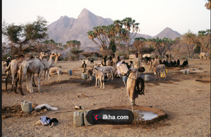 Soudan: La situation d’El-Obeid montre que l’action humanitaire classique atteint ses limites.