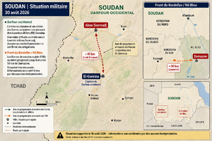 SOUDAN: Une nouvelle phase de la guerre au Darfour et au Nil Bleu ?