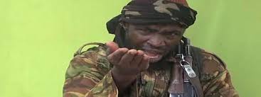 Une épidémie de Choléra décime  Boko Haram