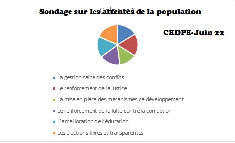 47.13 % des conflits communautaires proviennent des réseaux sociaux (sondage au Tchad)