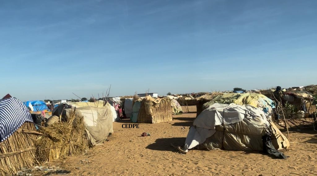Advocacy with institutions in Arab and Muslim countries for an urgent humanitarian intervention to Sudanese refugees in eastern Chad