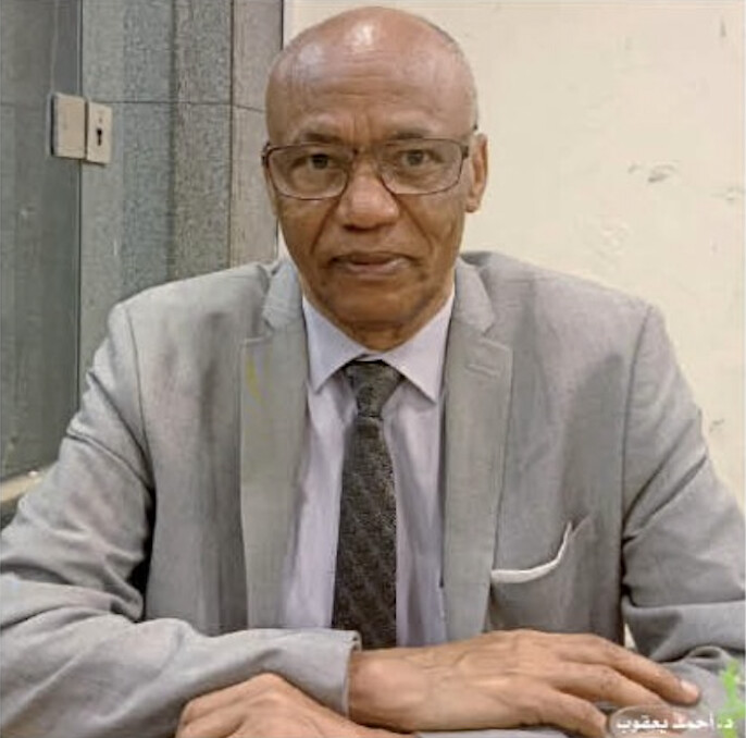 Dr Ahmat Yacoub : "L’Afrique est capable de vaincre le terrorisme… et l’expérience égyptienne en est la meilleure preuve" (Al-Ahram)