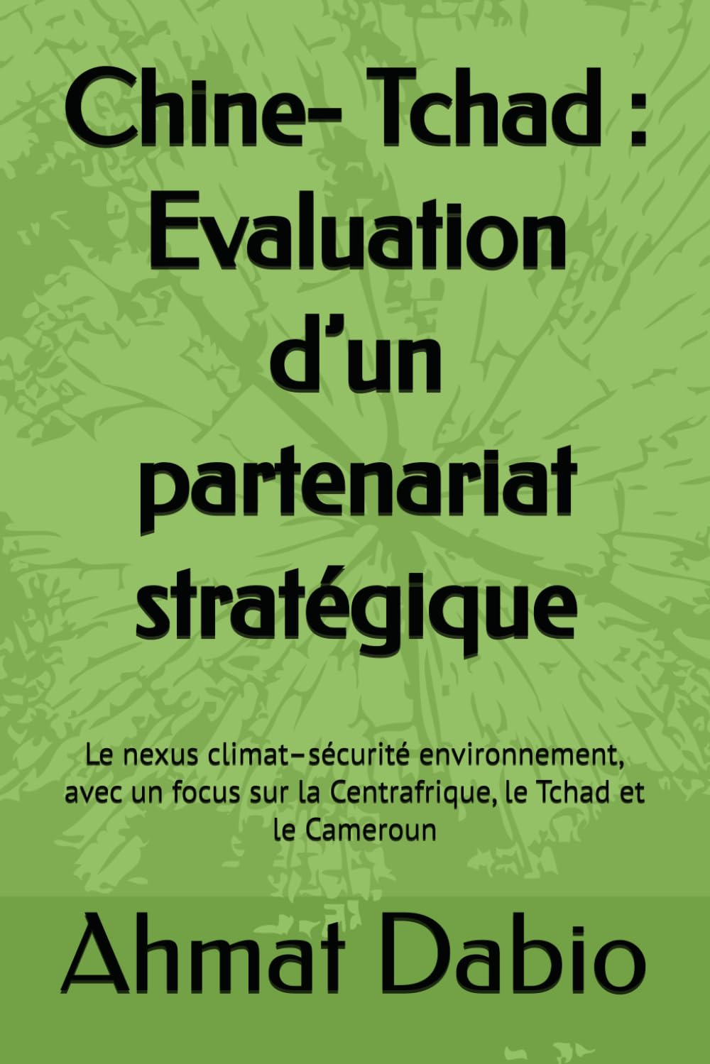 Chine- Tchad : Evaluation d’un partenariat stratégique