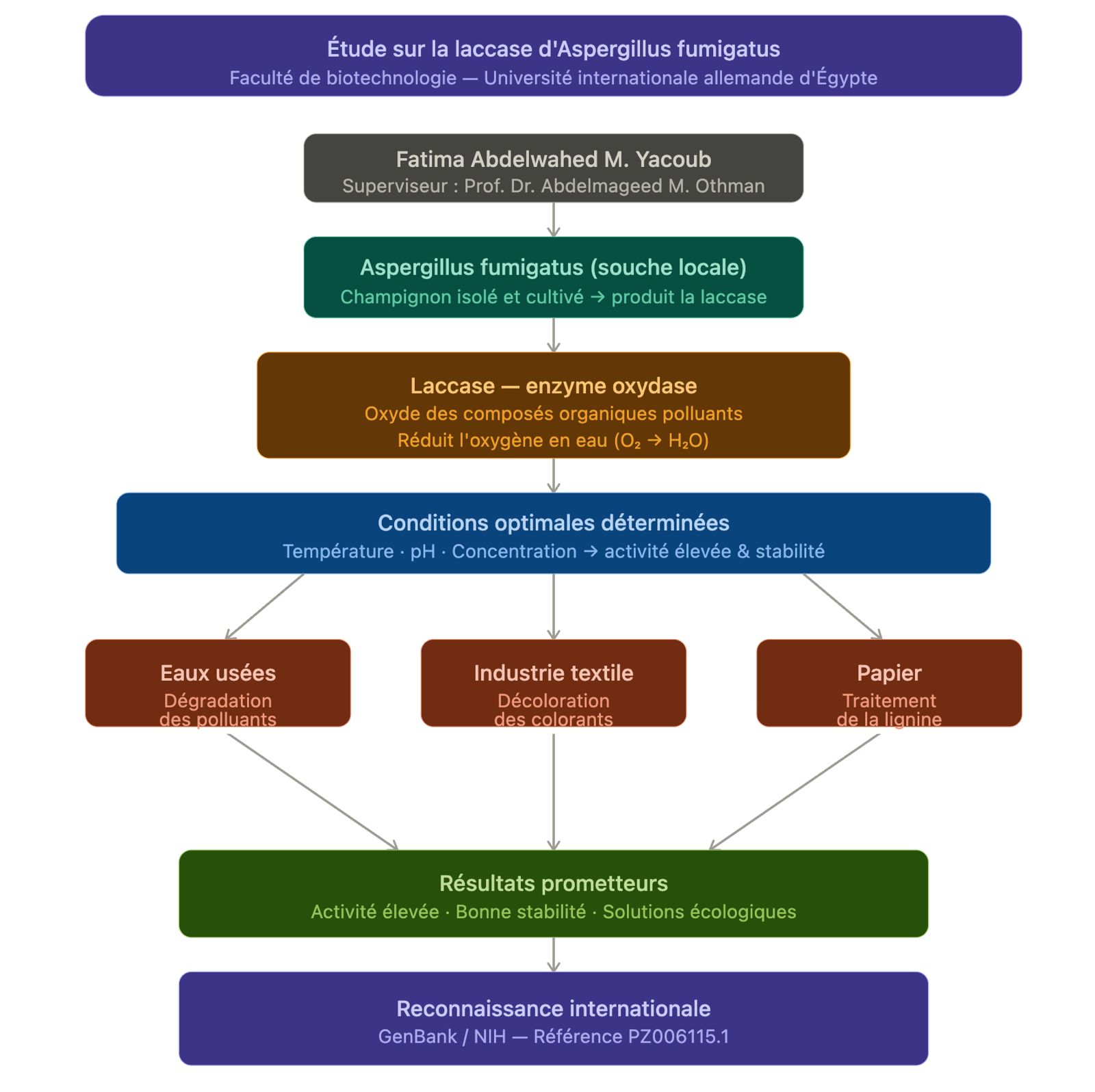 Recherche : Fatima Abdelwahed, étudiante tchadienne, met en lumière une enzyme capable de lutter contre la pollution