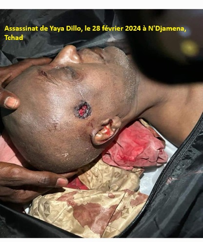 yaya Dilo