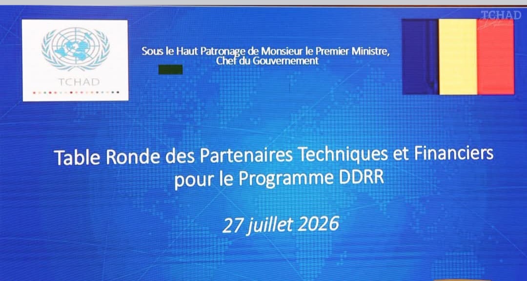 DDRR au Tchad : il est temps de sortir de l'illusion des financements extérieurs (CEDPE)