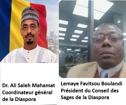 Diaspora tchadienne : une élection transparente qui fait école