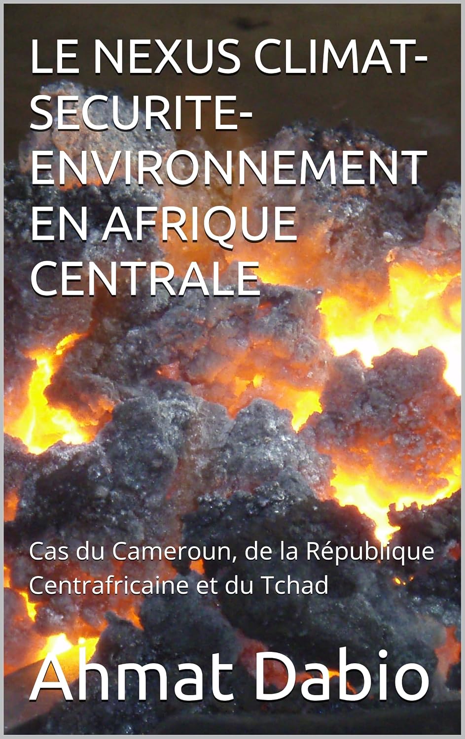 LE NEXUS CLIMAT-SECURITE-ENVIRONNEMENT EN AFRIQUE CENTRALE : Cas du Cameroun, de la République Centrafricaine et du Tchad