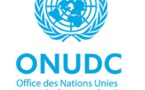 Sénégal: Timbuktu Institute-African et la Fondation Konrad Adenauer ont organisé un webinaire 