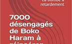 Terrorisme :   Les désengagés de Boko Haram, la bombe à retardement (Parution)