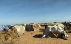 Réfugiés soudanais au Tchad, les pays arabes et musulmans appelés au secours