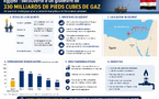 L'Égypte annonce la découverte d'un gisement de 330 milliards de pieds cubes de gaz