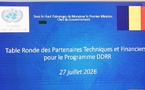 DDRR au Tchad : il est temps de sortir de l'illusion des financements extérieurs (CEDPE)