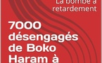 L'échec du programme de DDRR constitue une bombe à retardement pour la région du Bassin du Lac Tchad et au-delà.
