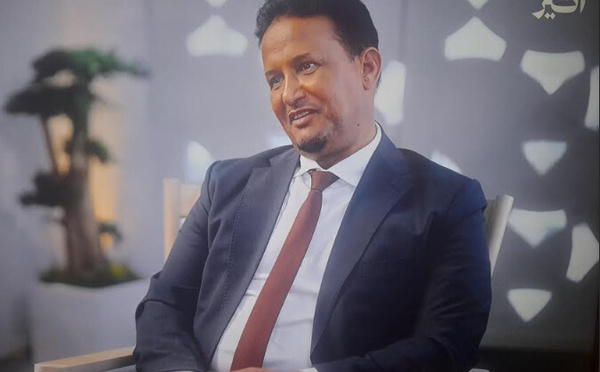 Les bœufs plus “civilisés” que les chameaux😁, Alchinguiti