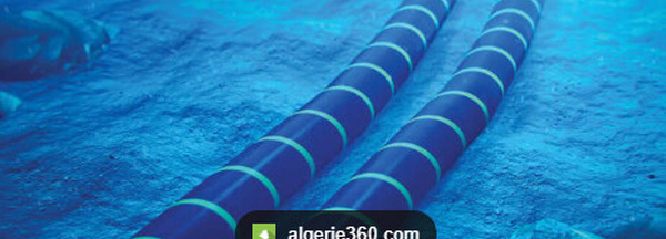 Vulnérabilité des câbles sous-marins et risques géopolitiques dans le Golfe persique