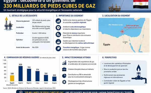 L'Égypte annonce la découverte d'un gisement de 330 milliards de pieds cubes de gaz
