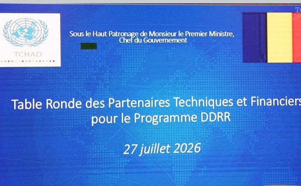 DDRR au Tchad : il est temps de sortir de l'illusion des financements extérieurs (CEDPE)