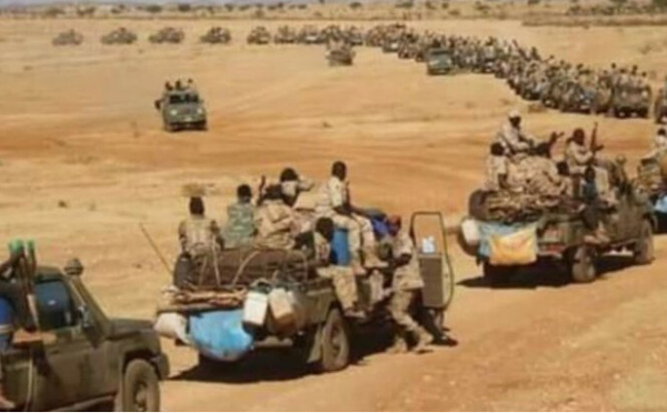 L’armée soudanaise et ses alliées se rapprochent de la ville stratégique d’El Geneina