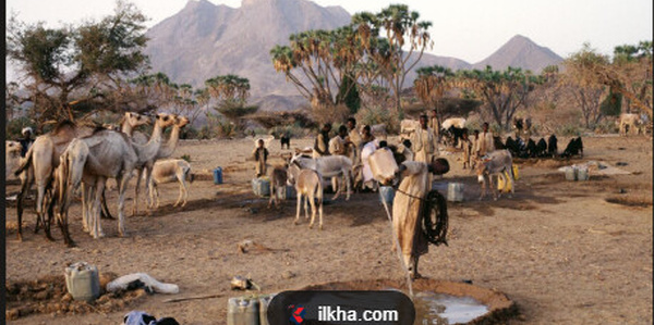 Soudan: La situation d’El-Obeid montre que l’action humanitaire classique atteint ses limites.